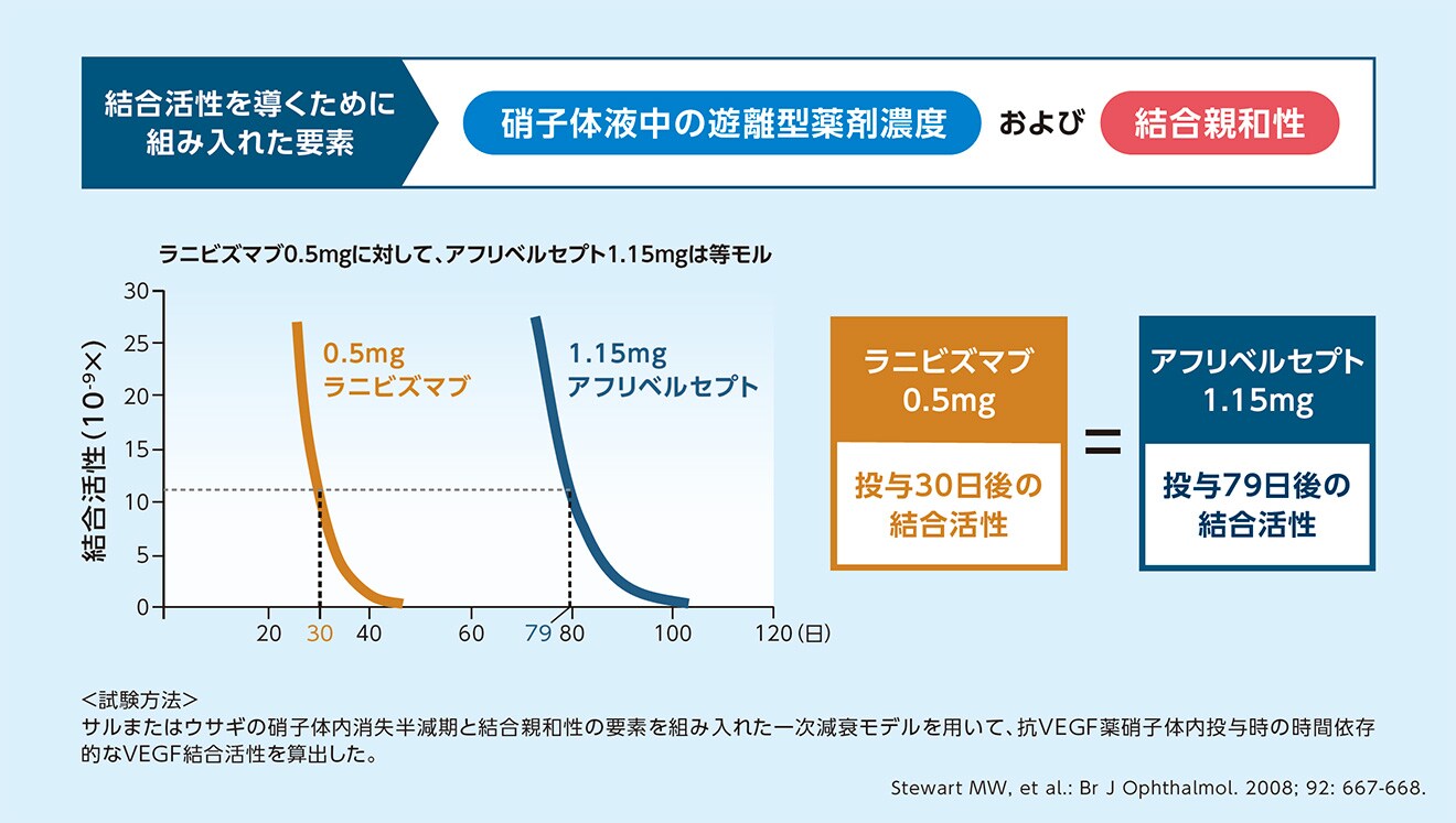 アフリベルセプトとラニビズマブの硝子体内投与によるVEGF結合活性持続時間 アフリベルセプトとラニビズマブの硝子体内投与によるVEGF結合活性持続時間
