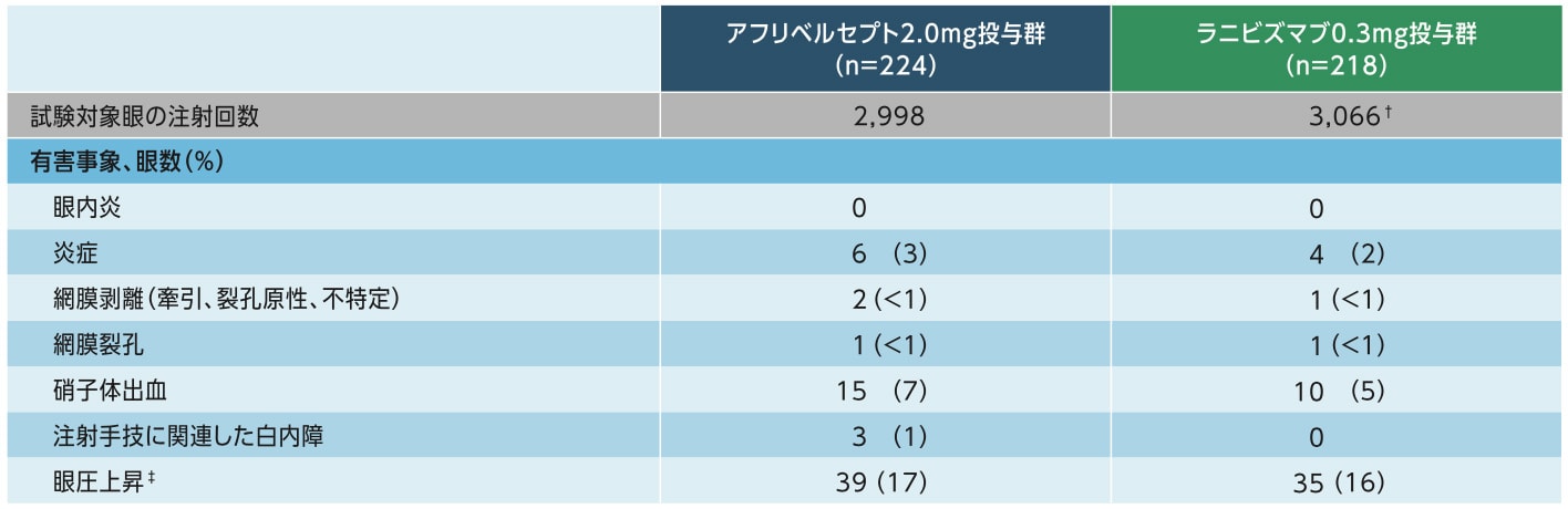 事前に規定された注目すべき試験眼の有害事象(2年間) 事前に規定された注目すべき試験眼の有害事象(2年間)