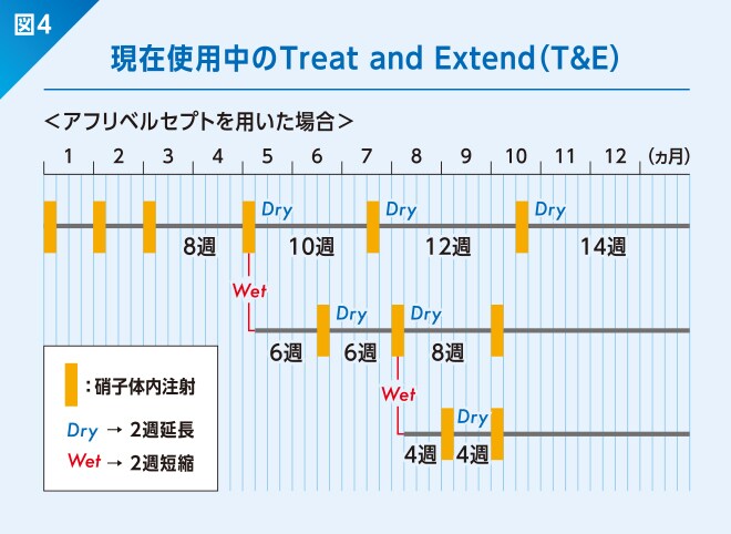 現在使用中のTreat and Extend