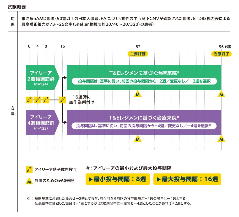 日本人nAMD患者対象ALTAIR試験における2つのT&Eレジメン 日本人nAMD患者対象ALTAIR試験における2つのT&Eレジメン