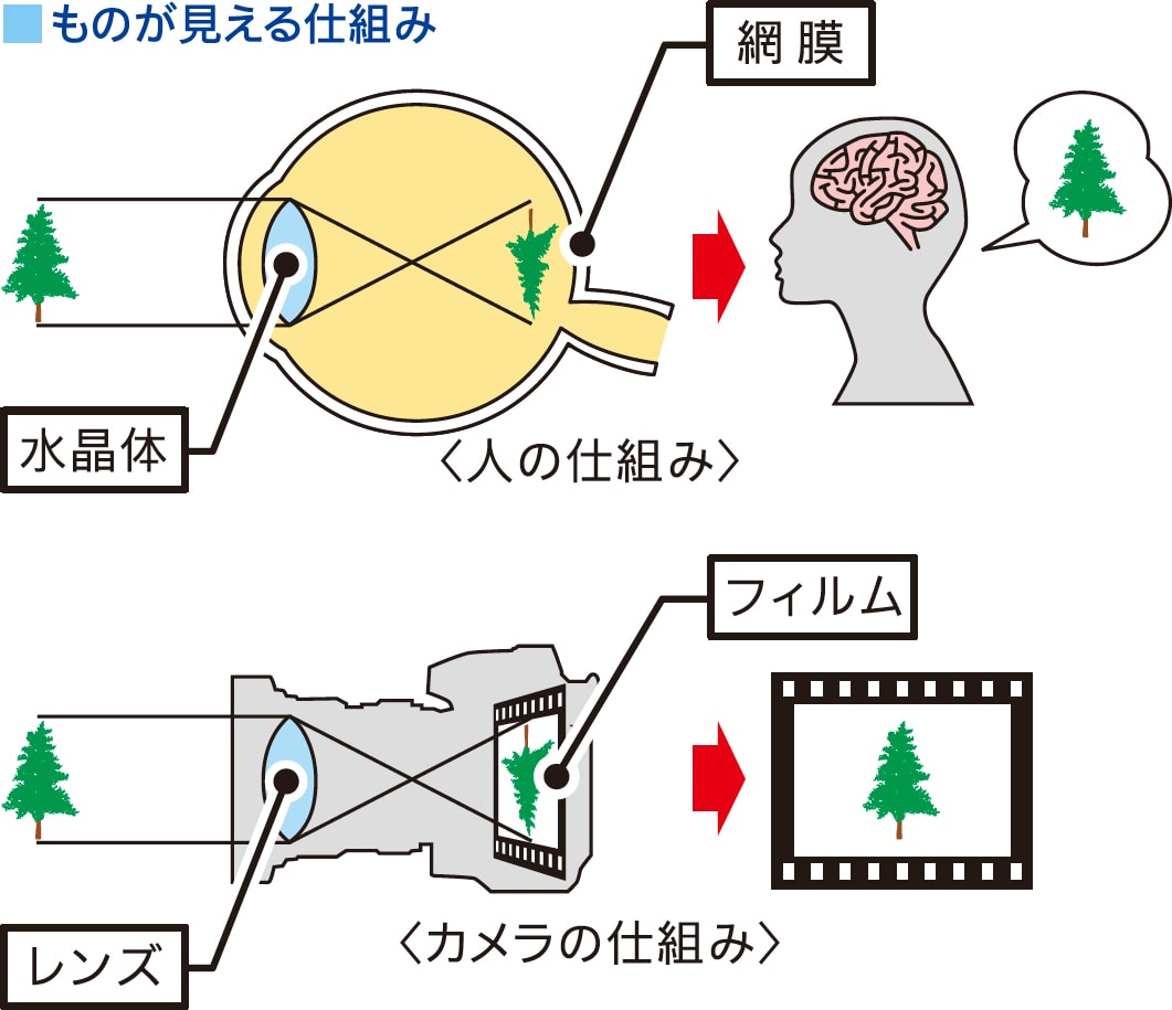 ものが見える仕組み