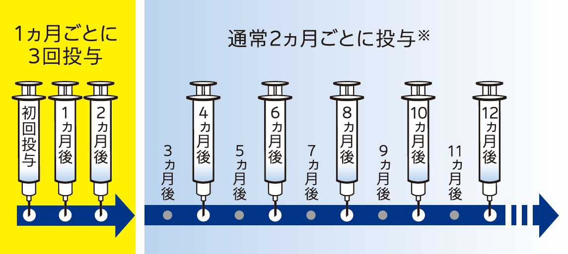 治療のスケジュール 治療のスケジュール