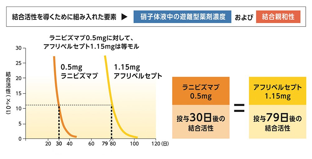 アフリベルセプトとラニビズマブの硝子体内投与によるVEGF結合活性持続時間 アフリベルセプトとラニビズマブの硝子体内投与によるVEGF結合活性持続時間