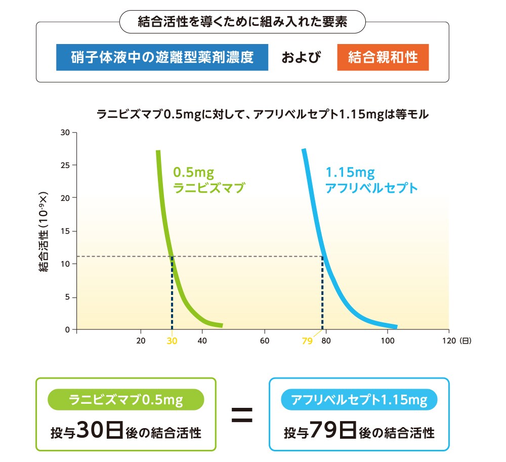 抗VEGF薬の硝子体内投与によるVEGF結合活性持続時間 抗VEGF薬の硝子体内投与によるVEGF結合活性持続時間