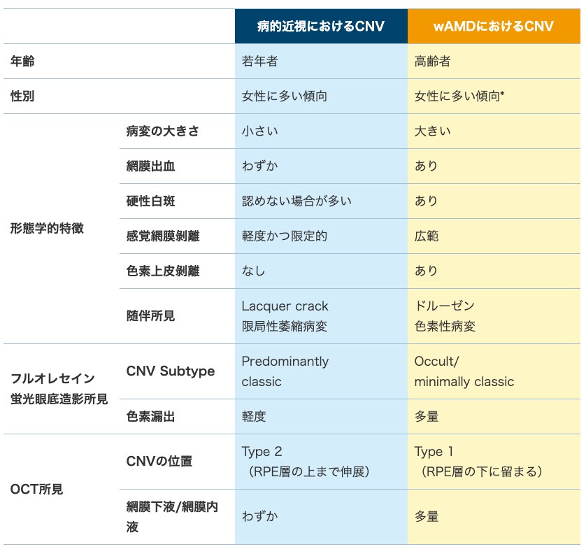 滲出型AMDにおけるCNVとの比較 滲出型AMDにおけるCNVとの比較