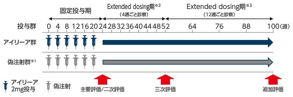 COPERNICUS試験 投与方法