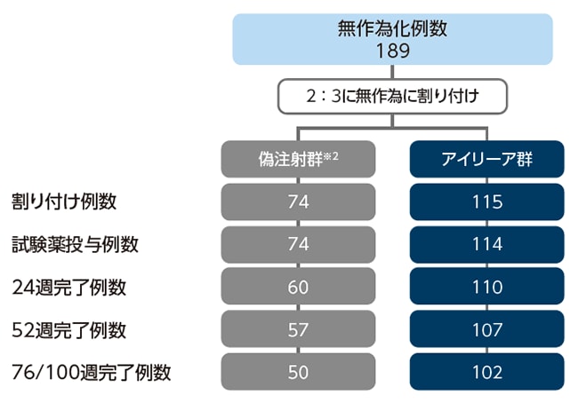 試験対象例数と各群の患者の内訳 試験対象例数と各群の患者の内訳