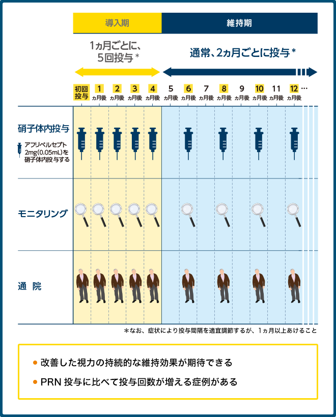アイリーアの「糖尿病黄斑浮腫」に対する投与スケジュール