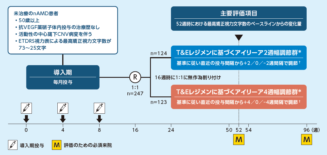 投与スケジュール 投与スケジュール