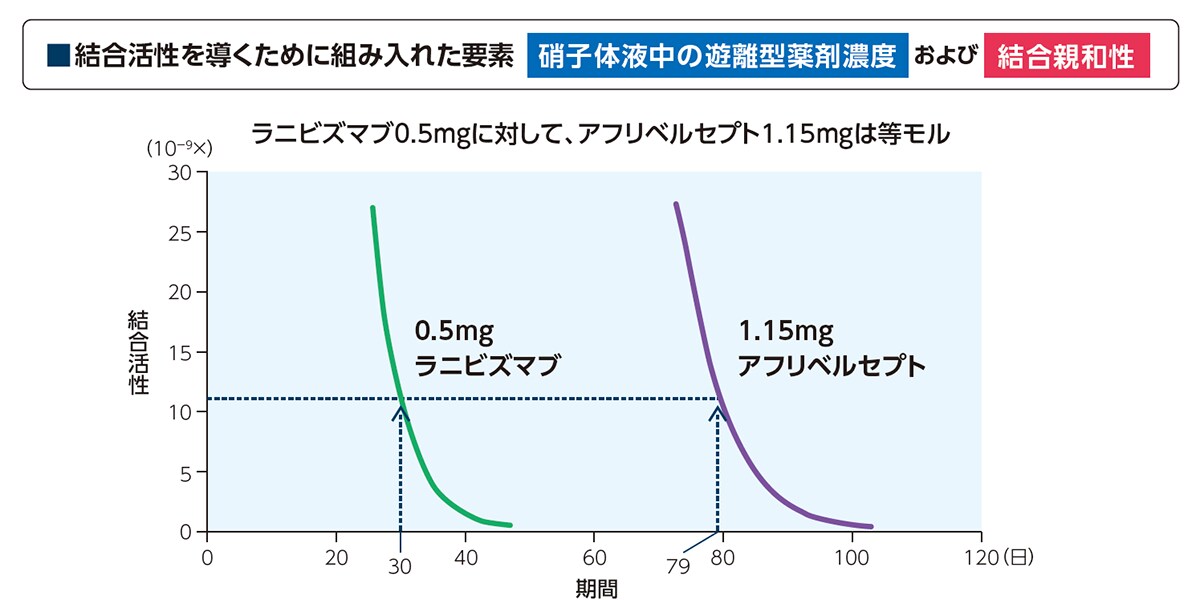 図1 アフリベルセプトとラニビズマブの硝子体内投与によるVEGF結合活性持続時間