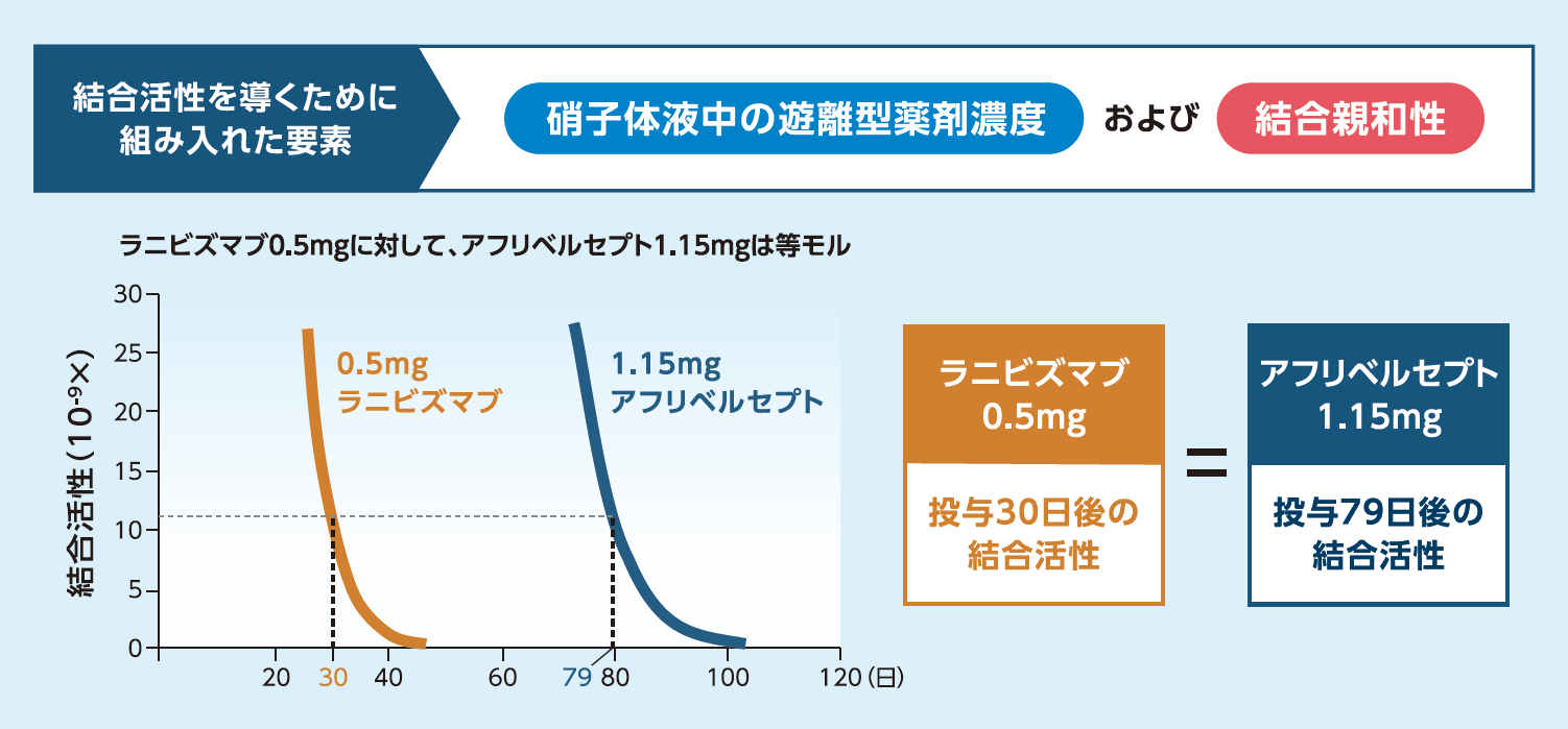 アフリベルセプトとラニビズマブの硝子体内投与によるVEGF結合活性持続時間