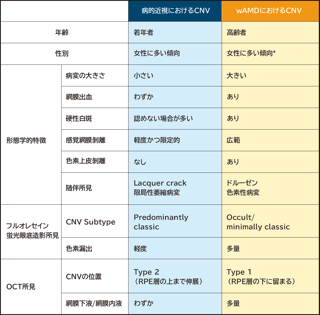 滲出型AMDにおけるCNVとの比較