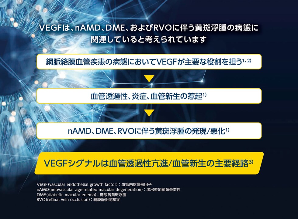 VEGFは、nAMD、DME、およびRVOに伴う黄斑浮腫の病態に 関連していると考えられています