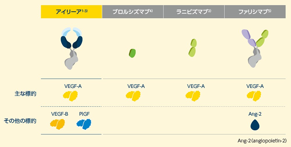 抗VEGF薬の物質特性一覧