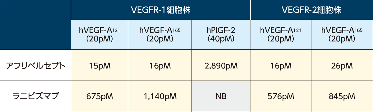 抗VEGF薬のVEGF-VEGF受容体結合の阻害作用