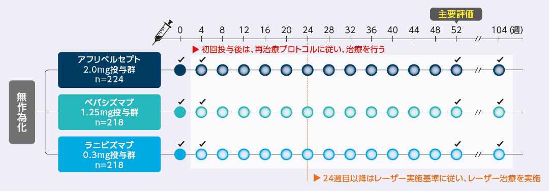 来院スケジュールと投与方法