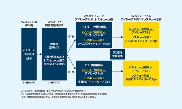 ポリープ状脈絡膜血管症に対するアイリーアの有効性と安全性：PLANET試験