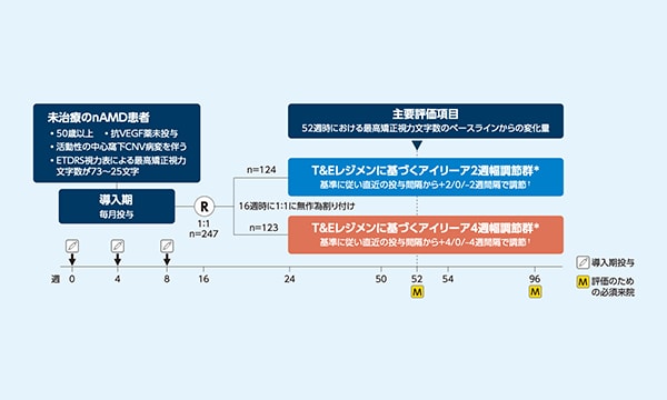 nAMD治療のトレンド「T&E」を用いたアイリーアのQ4 to Q16