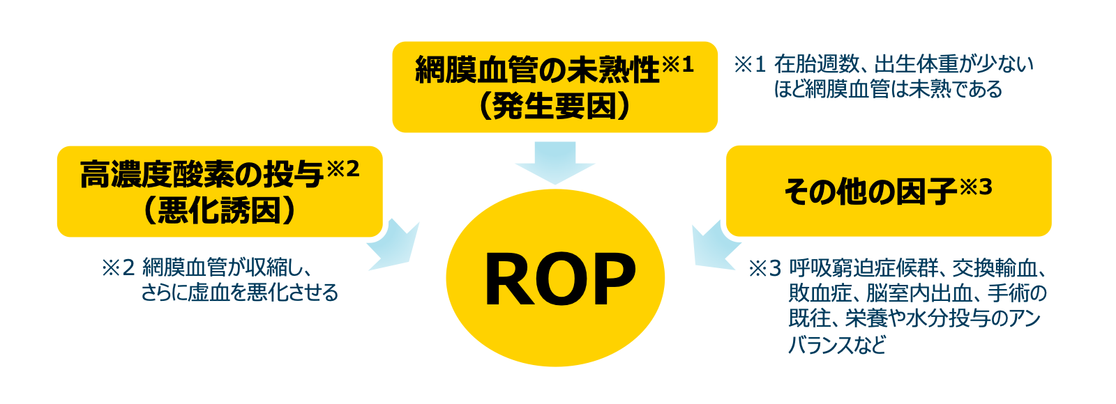 ROPの発生要因・悪化誘因