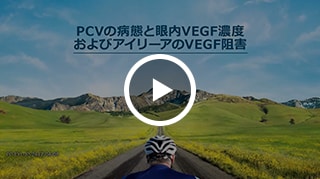 PCVの病態と眼内VEGF濃度およびアイリーアのVEGF阻害