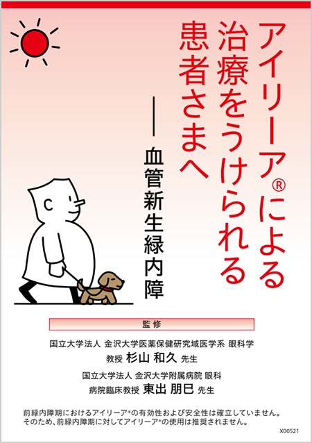 アイリーア2mg​：NVG - 小冊子
