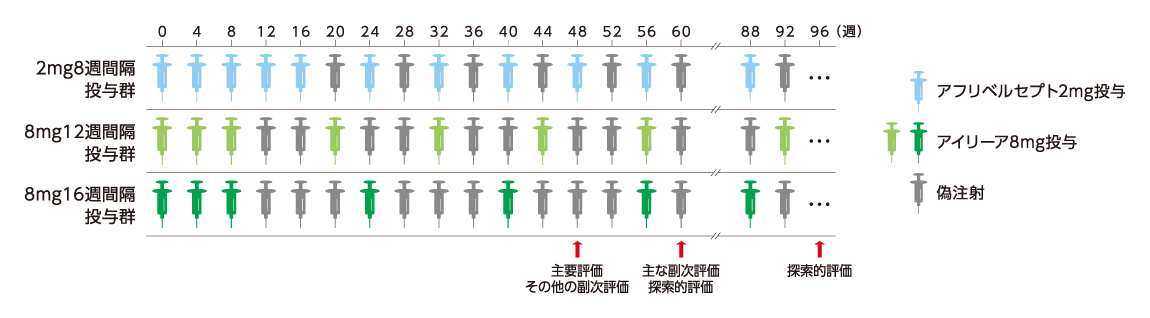 投与スケジュール