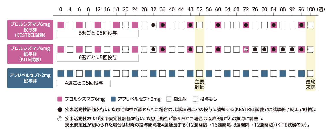 投与スケジュール