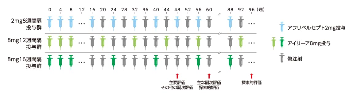 投与スケジュール