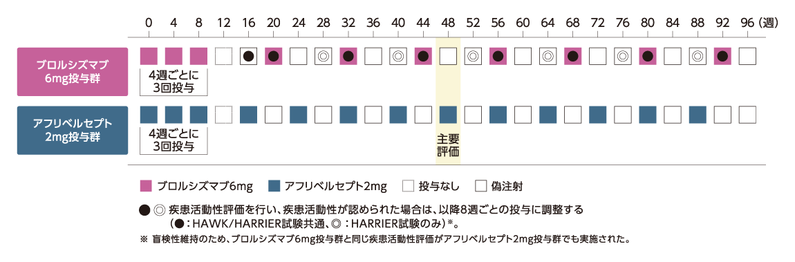 投与スケジュール