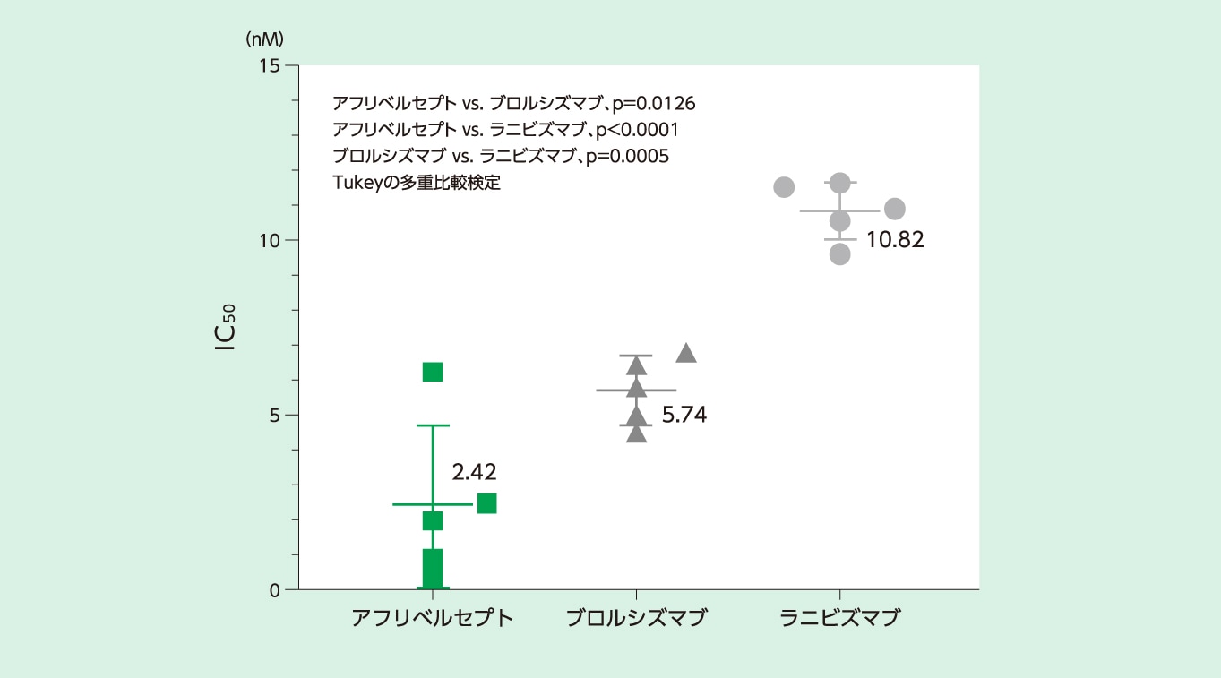 VEGF-Aによる細胞内カルシウム動員に対する阻害作用