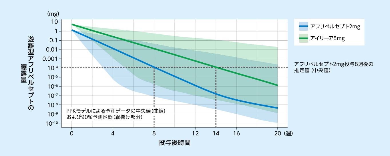アフリベルセプト2mgおよびアイリーア8mg単回硝子体内投与後の眼内の遊離型アフリベルセプト曝露量の PPKモデルに基づく予測推移（日本人および外国人データ）