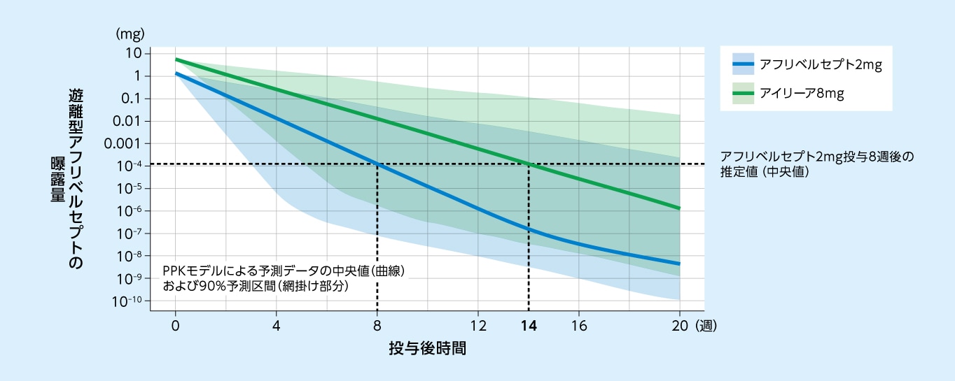 アフリベルセプト2mgおよびアイリーア8mg単回硝子体内投与後の眼内の遊離型アフリベルセプト曝露量のPPKモデルに基づく予測推移（日本人および外国人データ）