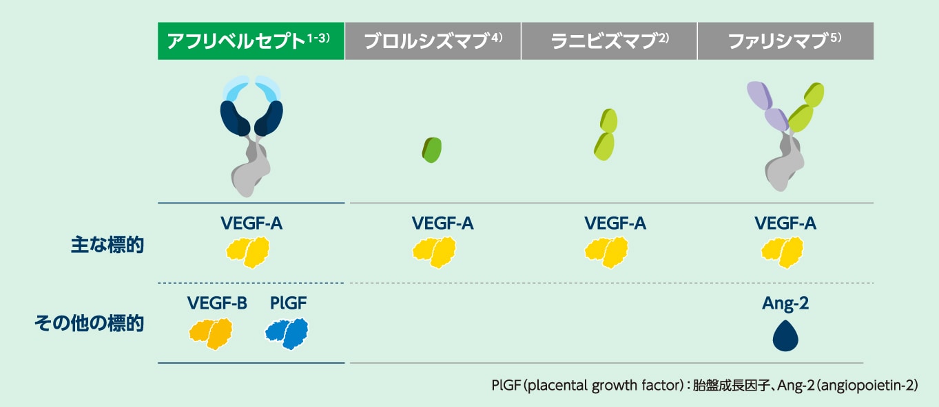 抗VEGF薬の物質特性一覧
