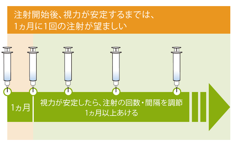網膜静脈閉塞症 - アイリーア®の治療スケジュール