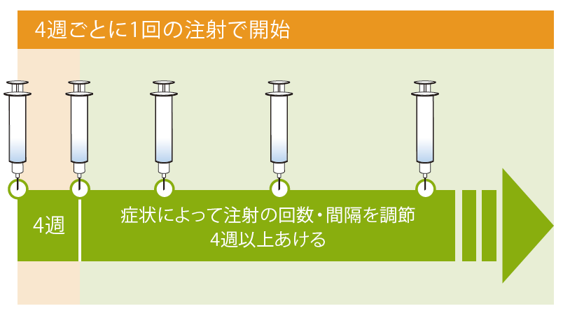 網膜静脈閉塞症 - アイリーア®8mgの治療スケジュール