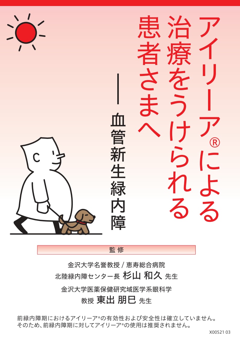 アイリーア2mg​：NVG - 小冊子